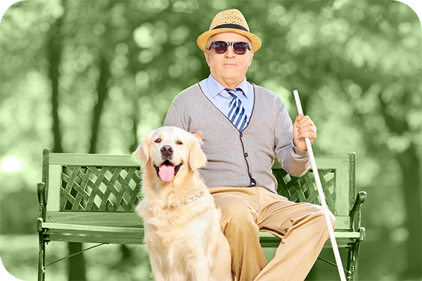 Image of a person with his cane and his dog.